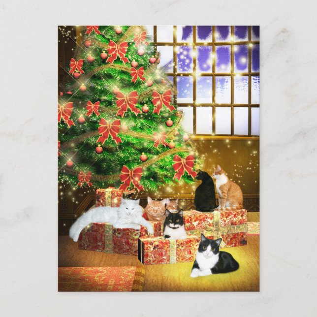 Kitty cat Christmas Holiday Postcard (Front)