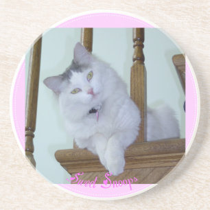 Kitty Cat Coaster