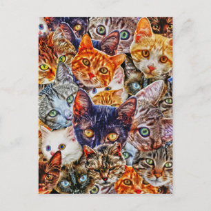 Kitty Cat Collage Postcard