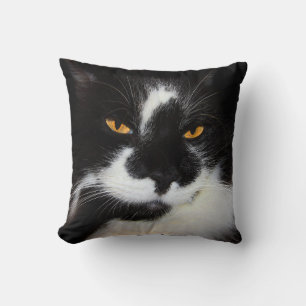 Kitty Cat Cushion
