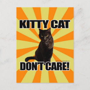 Kitty Cat Don't Care Postcard