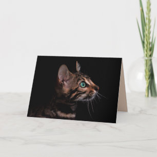 kitty cat greeting card