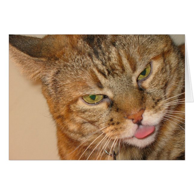 kitty cat kiss (Front Horizontal)