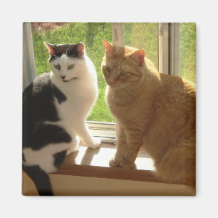 Kitty Cat Love Magnet