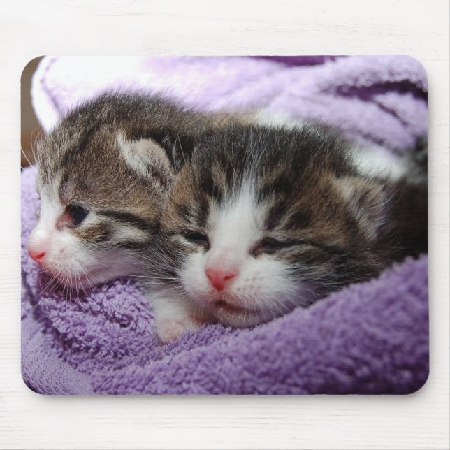 KITTY CAT  MOUSE PAD (Front)