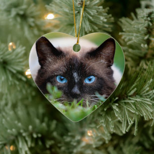 Kitty Cat Pet Memorial with Name and Photo Ceramic Ornament