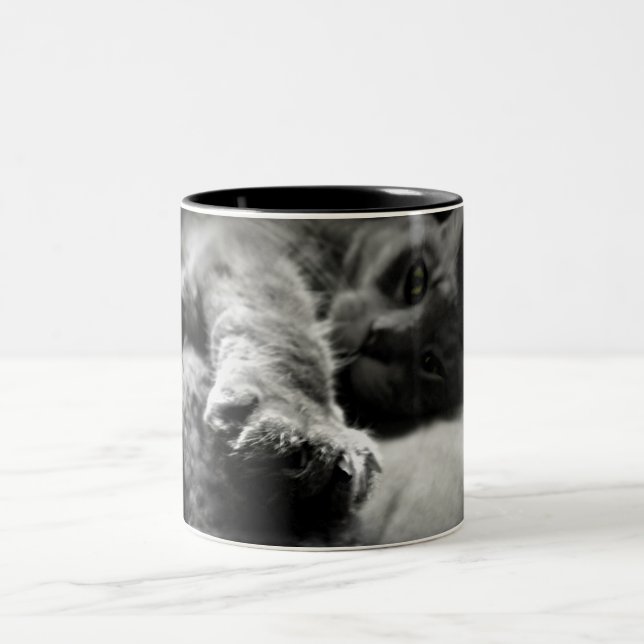 Kitty Cat Photo Two-Tone Coffee Mug (Center)