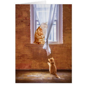 Kitty cat role model
