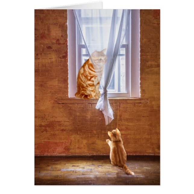 Kitty cat role  model (Front)
