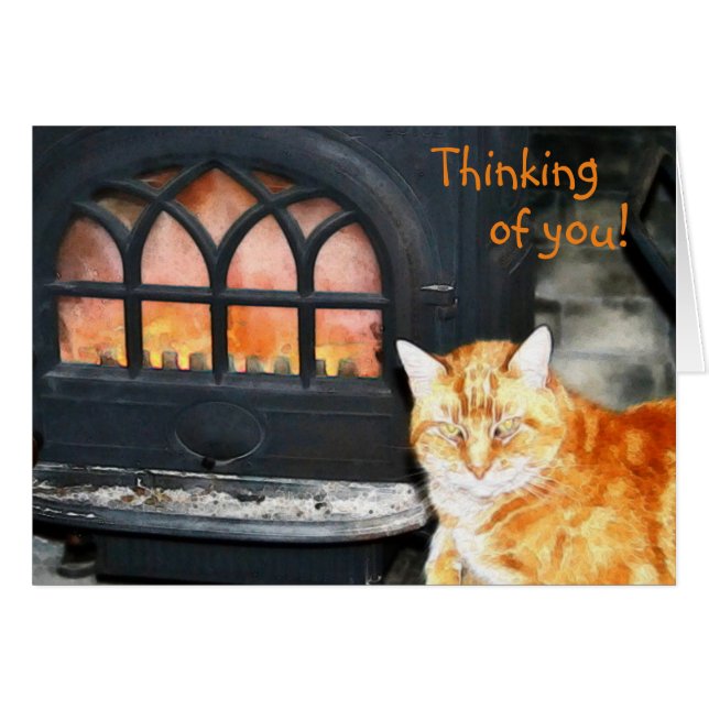 Kitty Cat Thinking Of You Card (Front Horizontal)