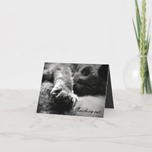 Kitty Cat Valentine's Day Card