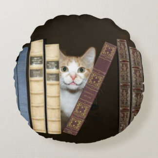 Kitty cat with books round cushion