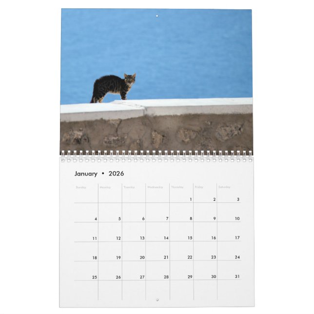 Kitty Cats of Greece Calendar (Jan 2026)