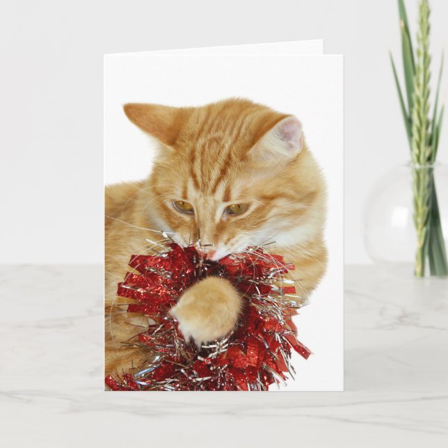 Kitty Christmas card (Front)