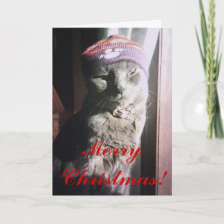 Kitty Christmas Holiday Card