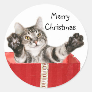 Kitty Christmas hug Classic Round Sticker