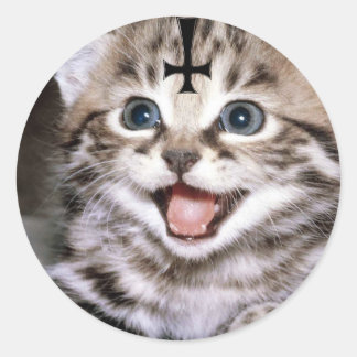kitty classic round sticker