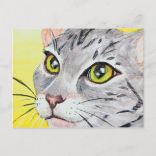 Kitty Closeup Postcard