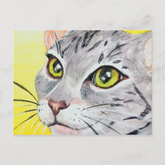 Kitty Closeup Postcard