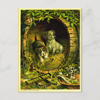 Kitty comes calling postcard