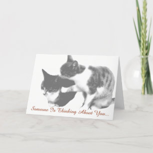 Kitty cuddle image card