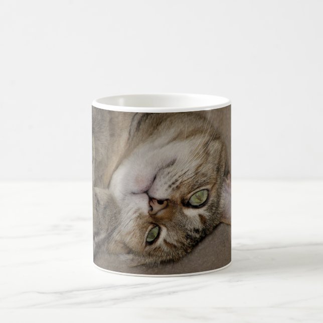 Kitty Cute Mug (Center)