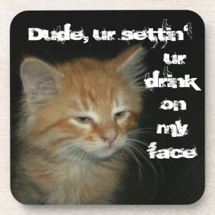 Kitty "Dude Settin' Ur Drink On My Face" Coasters