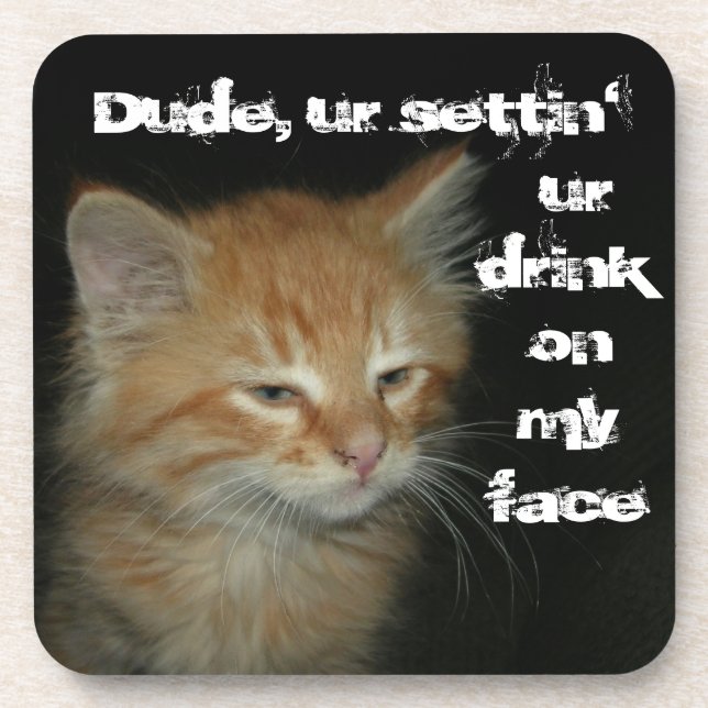 Kitty "Dude Settin' Ur Drink On My Face" Coasters (Front)