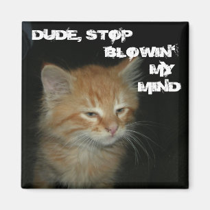 Kitty "DUDE, STOP BLOWIN' MY MIND" Magnet