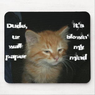 Kitty "Dude Wall Paper Blowin' My Mind" Mousepad