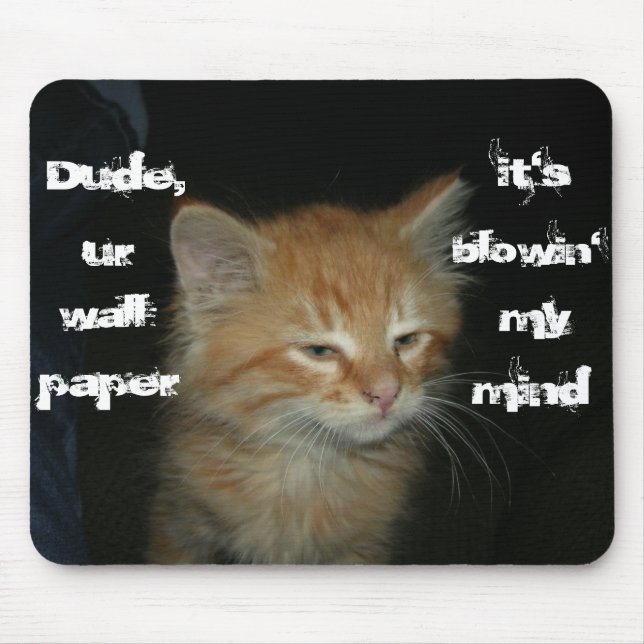 Kitty "Dude Wall Paper Blowin' My Mind" Mousepad (Front)