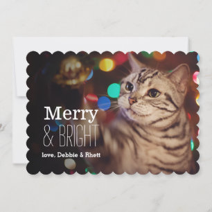 Kitty helping with the Christmas tree Holiday Card