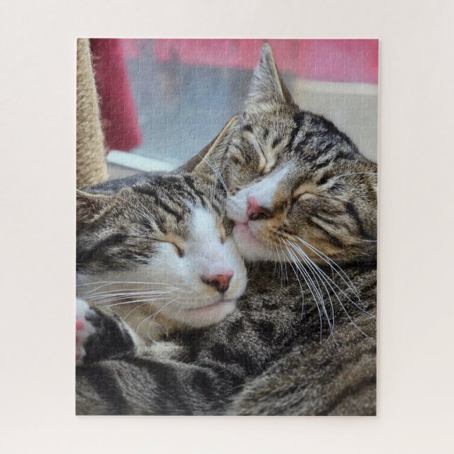 Kitty Hugs! Jigsaw Puzzle (Vertical)