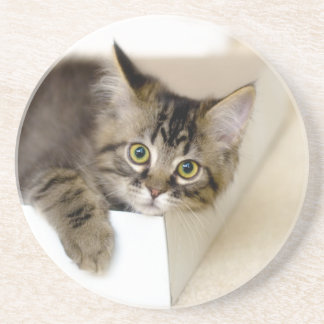 Kitty in a Box coaster