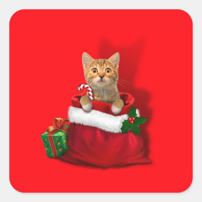 Kitty in a Christmas Bag Square Sticker (Front)
