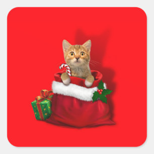 Kitty in a Christmas Bag Square Sticker