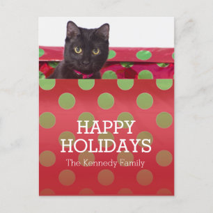 Kitty In Gift Box Holiday Postcard