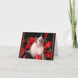 Kitty in Roses Note Cards