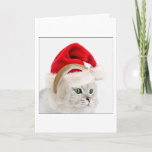 Kitty in Santa hat and ear muffs Holiday Card