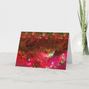 Kitty In The Christmas Tree Holiday Card