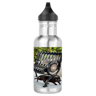 Kitty in The Park 532 Ml Water Bottle