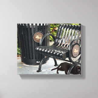 Kitty in The Park Canvas Print