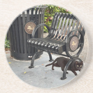 Kitty in The Park Coaster