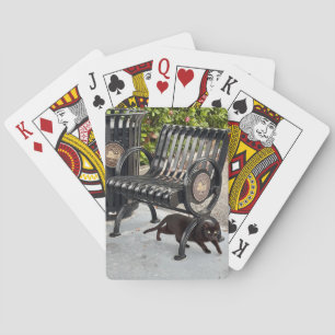 Kitty in The Park Playing Cards