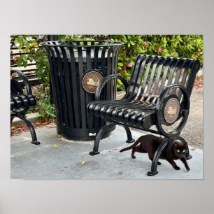 Kitty in The Park Poster