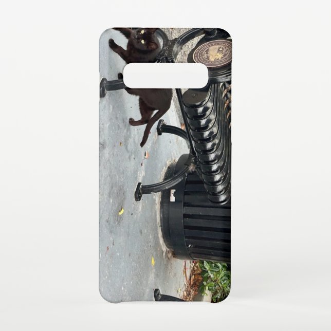 Kitty in The Park Samsung Galaxy Case (Back)