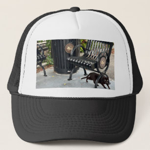 Kitty in The Park Trucker Hat