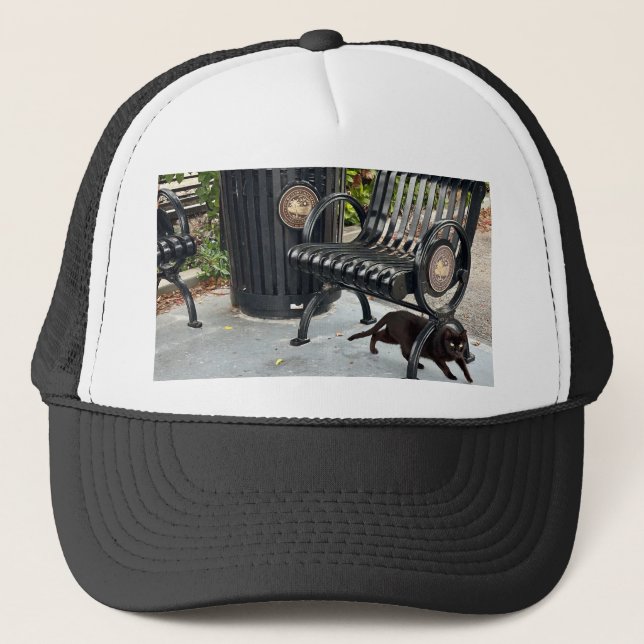 Kitty in The Park Trucker Hat (Front)