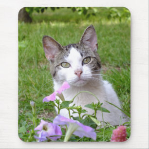 Kitty In the Petunias MousePad