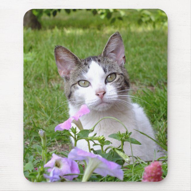 Kitty In the Petunias MousePad (Front)
